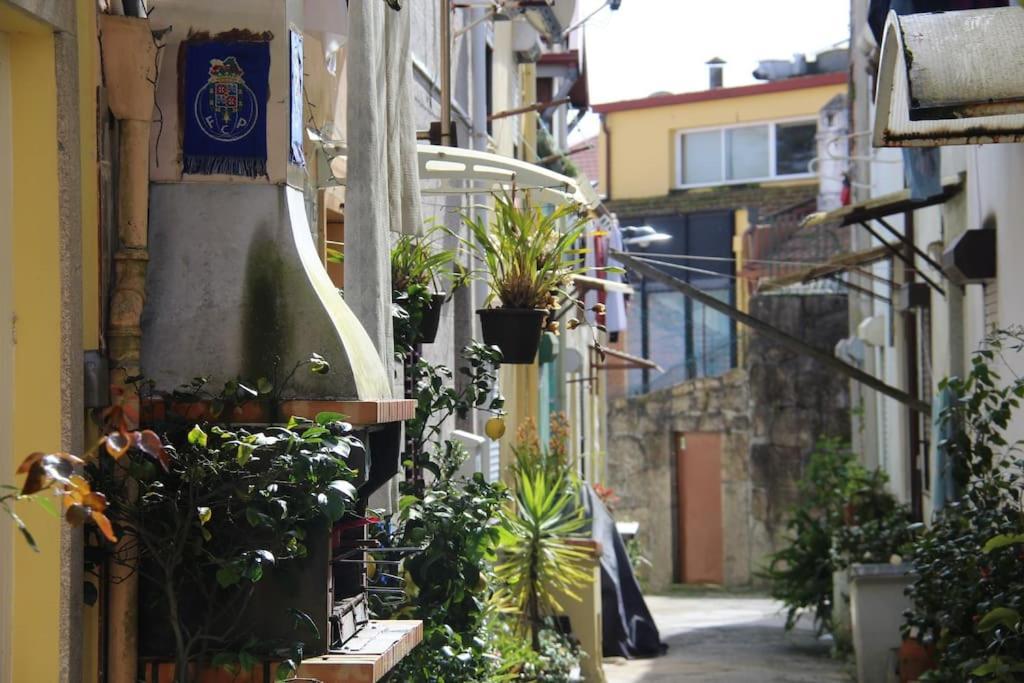 Fontainhas Heritage House Πόρτο Εξωτερικό φωτογραφία